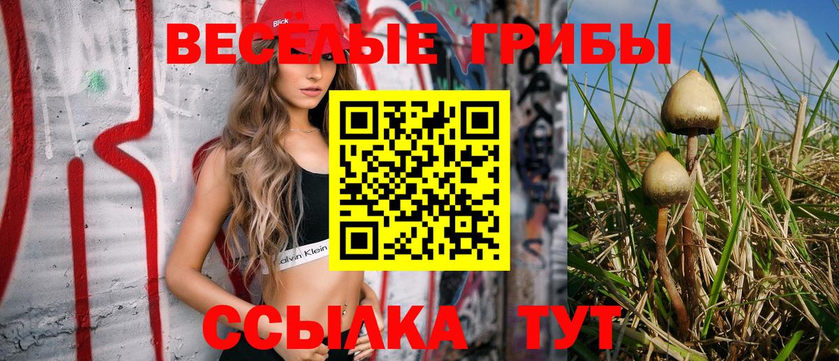 Галлюциногенные грибы прущие грибы  Вход с VPN  Псилоцибиновые грибы Psilocybine cubensis  Сегежа 